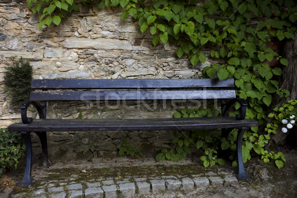 Colorful park scenery, summertime theme Stock photo © JanPietruszka