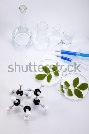 Chimica impianti laboratorio sperimentale medici Foto d'archivio © JanPietruszka