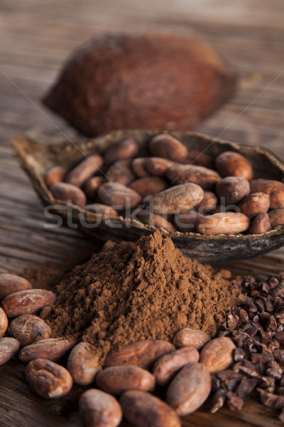 Cacao beans and powder and food dessert background Stock photo © JanPietruszka