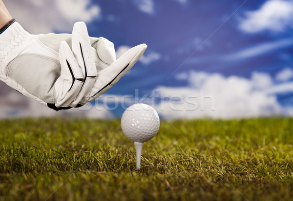 Fuck golf club puesta de sol césped estilo de vida Foto stock © JanPietruszka