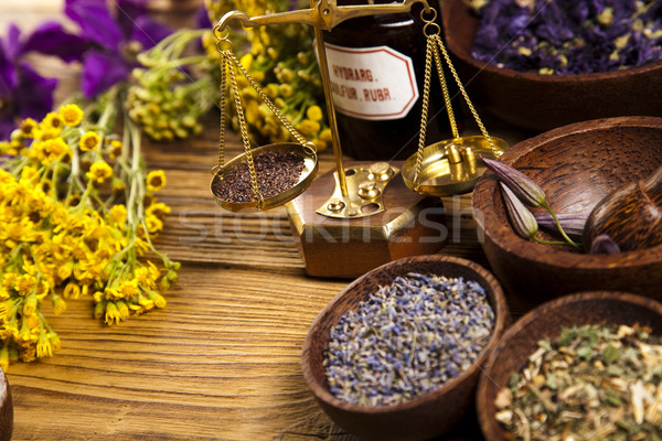 Foto stock: Ervas · medicina · vintage · madeira · natureza · beleza
