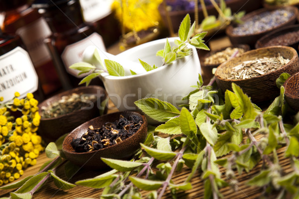 Naturales colorido naturaleza belleza medicina Foto stock © JanPietruszka