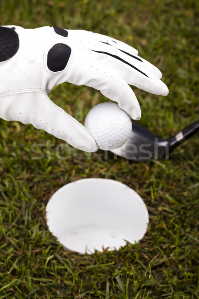 Mano pallina da golf tramonto prato stile di vita prato Foto d'archivio © JanPietruszka