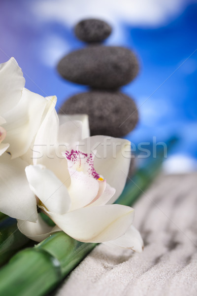 Orchid flower, Zen stones Stock photo © JanPietruszka