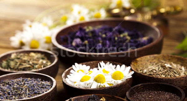 Fresh medicinal herbs on wooden desk Stock photo © JanPietruszka