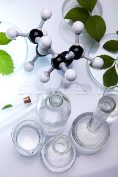 Laboratory glassware, genetically modified plant Stock photo © JanPietruszka