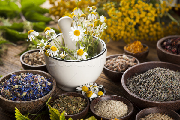Stock photo: Alternative medicine, dried herbs and mortar on wooden desk back