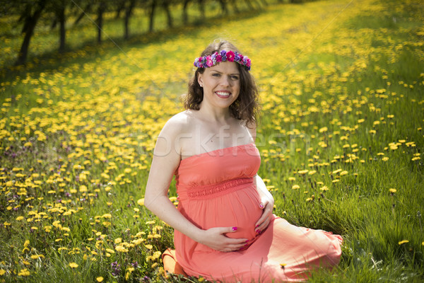 Foto stock: Pradera · jardín · hermosa · mujer · embarazada · puesta · de · sol · naturaleza