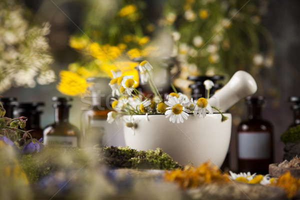 Alternative medicine, dried herbs and mortar on wooden desk back Stock photo © JanPietruszka