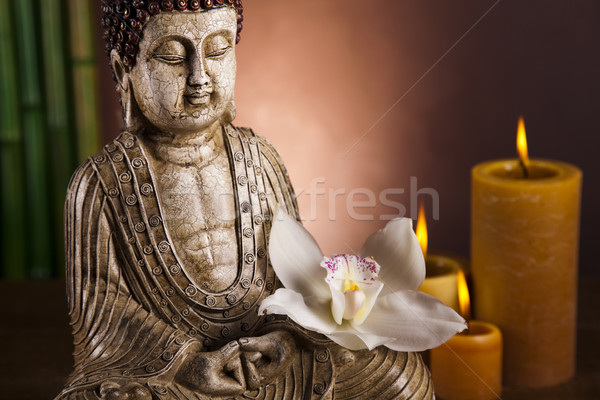 Buddha statue in a meditation  Stock photo © JanPietruszka