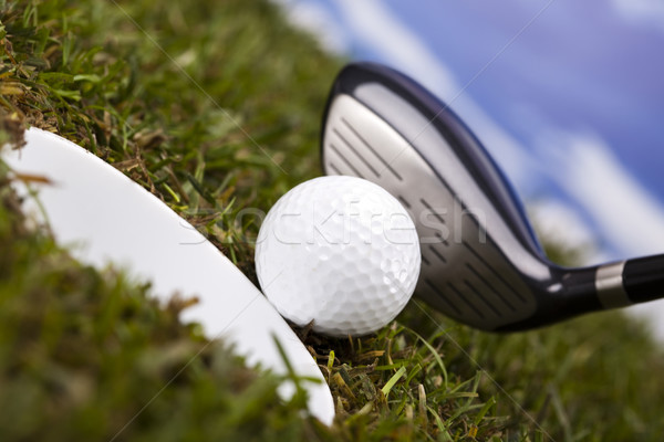 Stock photo: Golf ball on green meadow