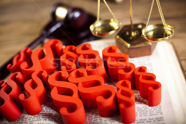 Law book with paragraphs, natural colorful tone Stock photo © JanPietruszka