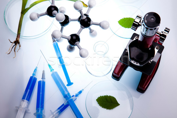Laboratoire verrerie équipement expérimental usine médicaux Photo stock © JanPietruszka