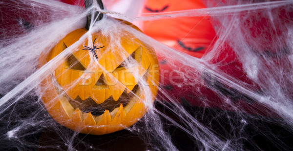 Halloween background with web and spider,pumpkin  Stock photo © JanPietruszka