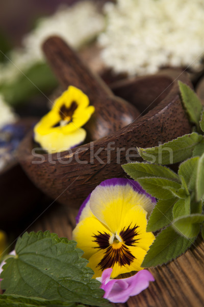 Natural medicine, wooden table background Stock photo © JanPietruszka