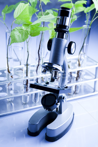 Stock photo: Biotechnology, Chemical laboratory glassware, bio organic modern concept