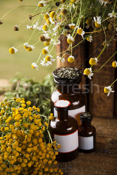 [[stock_photo]]: Livre · phytothérapie · table · en · bois · fleur · nature · beauté