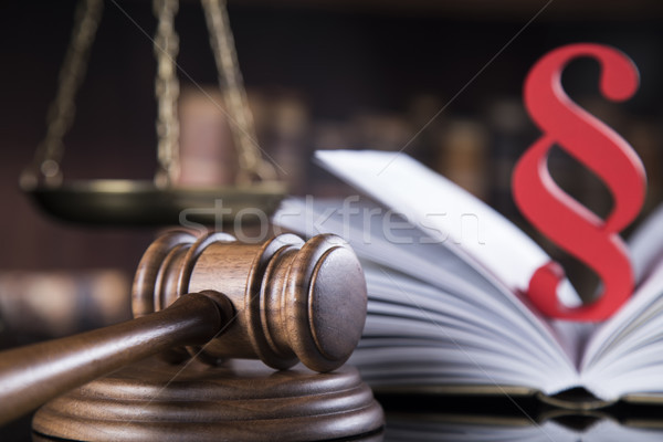 книга прав судья молоток правосудия Сток-фото © JanPietruszka