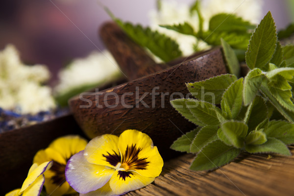 Natural remedy, mortar and herbs Stock photo © JanPietruszka