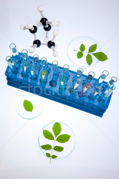 Сток-фото: биотехнология · химического · лаборатория · изделия · из · стекла · bio · органический