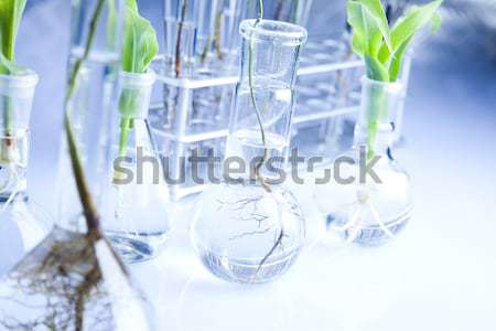 Foto d'archivio: Biotecnologie · chimica · laboratorio · cristalleria · bio
