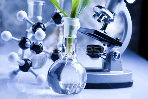Stockfoto: Biotechnologie · chemische · laboratorium · glaswerk · bio · organisch