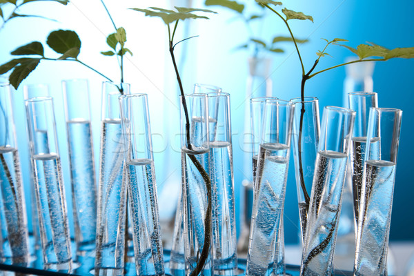Stockfoto: Ecologie · laboratorium · experiment · planten · natuur · geneeskunde