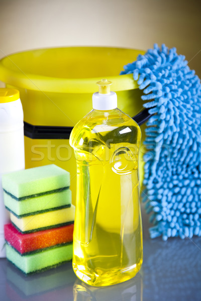 Grup temizlik çalışmak ev şişe hizmet Stok fotoğraf © JanPietruszka