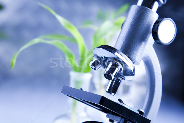 Químicos laboratorio cristalería bio orgánico moderna Foto stock © JanPietruszka