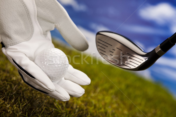 Hand and golf ball Stock photo © JanPietruszka