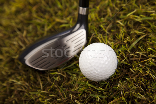 Golf club and ball in grass  Stock photo © JanPietruszka