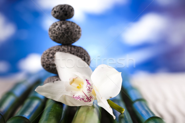 Orchidea kwiat zen kamienie grupy rock Zdjęcia stock © JanPietruszka
