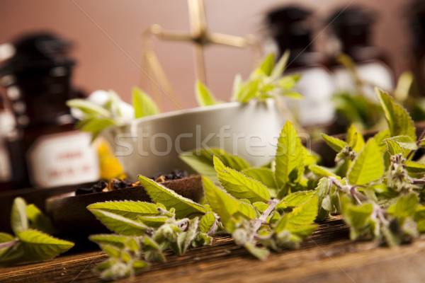 Medicina alternativa essiccati erbe natura bellezza medicina Foto d'archivio © JanPietruszka