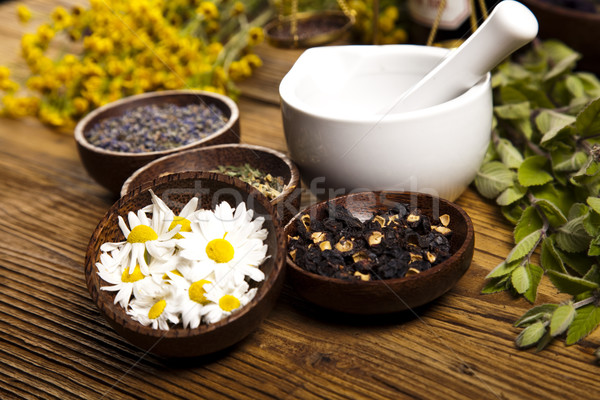 Natural medicine, natural colorful tone Stock photo © JanPietruszka