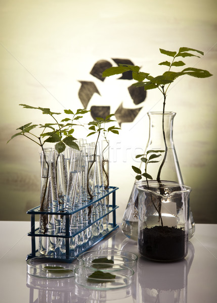 Ekologia laboratorium eksperyment roślin charakter muzyka Zdjęcia stock © JanPietruszka