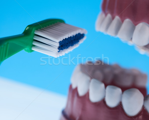 Zęby krwi zdrowia usta ludzi zębów Zdjęcia stock © JanPietruszka