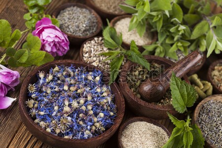 Medicine bottles and herbs, natural colorful tone Stock photo © JanPietruszka