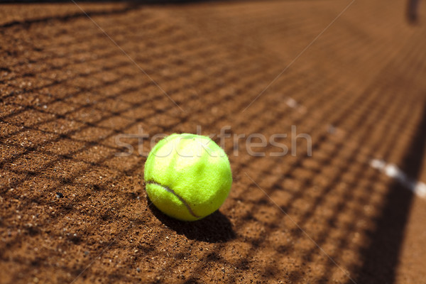 Sport teniszütő golyók háttér sportok Föld Stock fotó © JanPietruszka