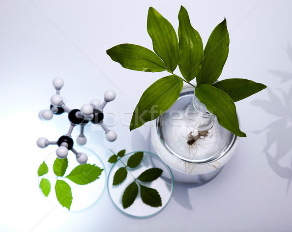 Stockfoto: Chemische · laboratorium · glaswerk · bio · organisch · moderne