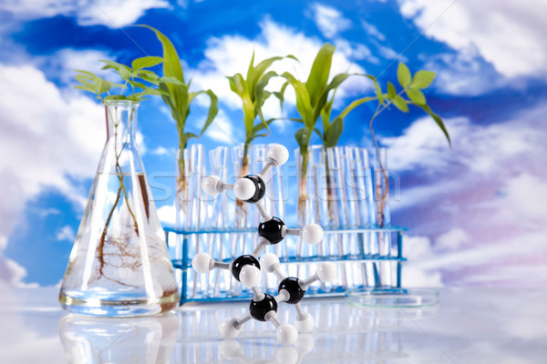 Laboratory pipette, bio organic modern concept Stock photo © JanPietruszka
