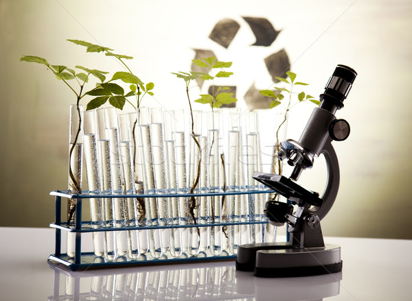 Roślin laboratorium charakter muzyka laboratorium chemia Zdjęcia stock © JanPietruszka