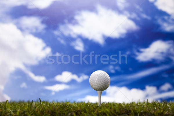 Golf club Stock photo © JanPietruszka