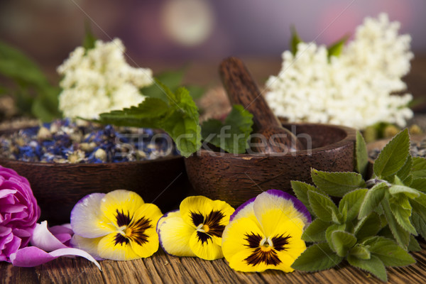 Natural remedy, mortar and herbs Stock photo © JanPietruszka