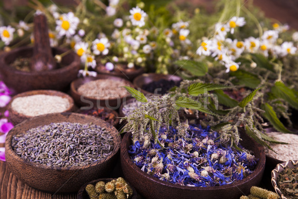 Természetes gyógymódok fa asztal gyógynövény természet szépség gyógyszer Stock fotó © JanPietruszka