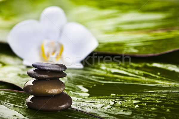 Balance, magical ambient atmosphere theme Stock photo © JanPietruszka