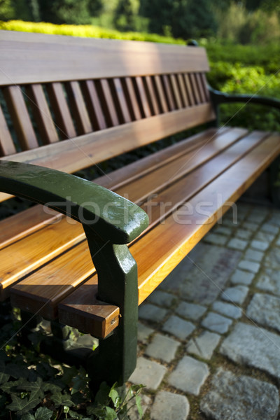 Foto stock: Colorido · parque · cenário · verão · flores · paisagem