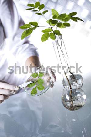 Stock foto: Biotechnologie · chemischen · Labor · Glasgeschirr · bio