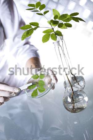 Biotechnologia chemicznych laboratorium wyroby szklane bio organiczny Zdjęcia stock © JanPietruszka