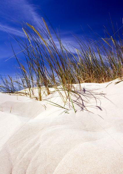 Foto stock: Arena · puro · naturaleza · hermosa · paisaje · playa