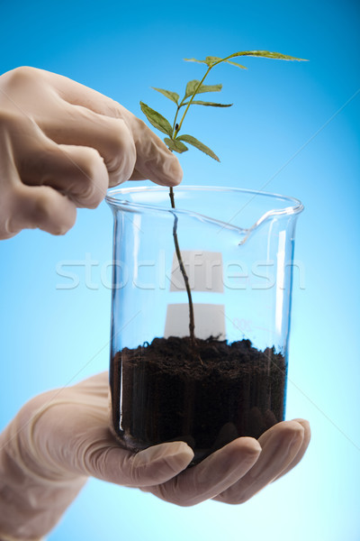 Plant laboratory Stock photo © JanPietruszka